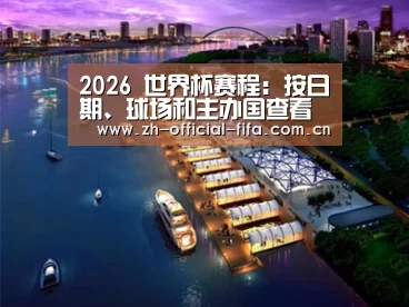 案例展示八