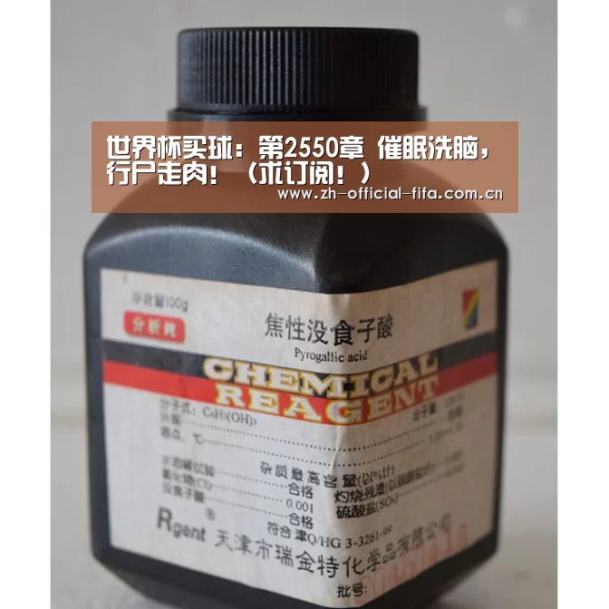 2026世界杯