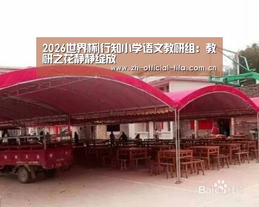 2026世界杯
