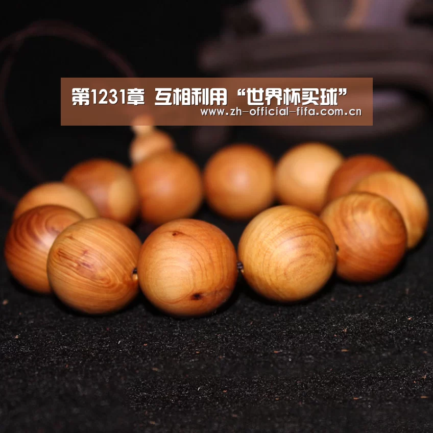 第1231章 互相利用“世界杯买球”(图2) 2026世界杯